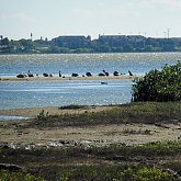 Corpus Christi Naval Area